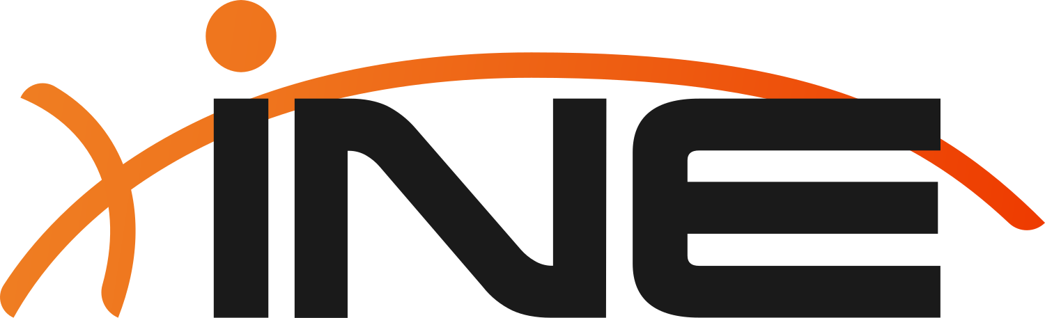 INE Security